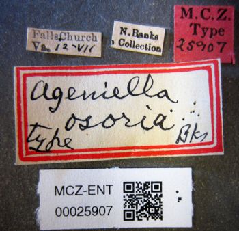 Media type: image;   Entomology 25907 Aspect: labels
